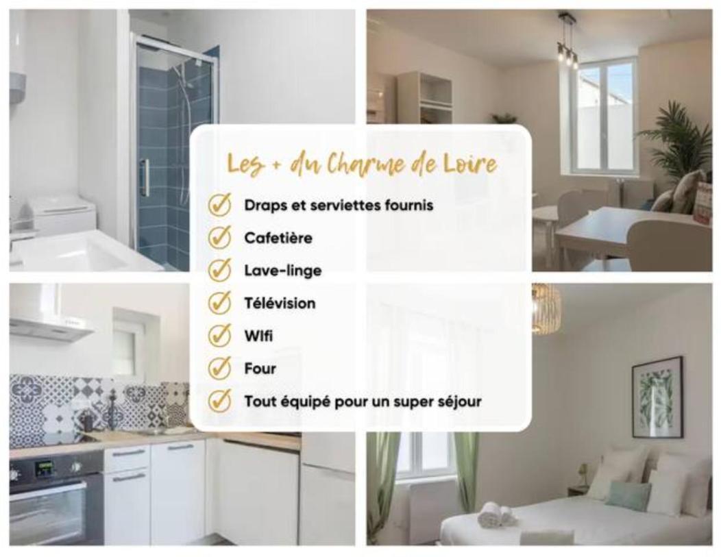 Apartamento Charme De Loire A St Ay *T2* Saint-Ay Exterior foto